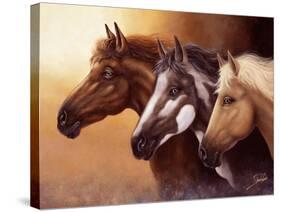 Born Free-Joe Sambataro-Stretched Canvas