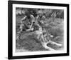 Born Free-null-Framed Photo