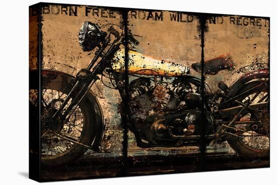 Born Free-Eric Yang-Stretched Canvas