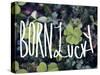 Born Lucky-Leah Flores-Stretched Canvas