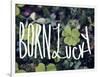 Born Lucky-Leah Flores-Framed Giclee Print