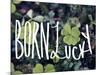 Born Lucky-Leah Flores-Mounted Giclee Print