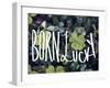 Born Lucky-Leah Flores-Framed Giclee Print