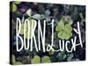 Born Lucky-Leah Flores-Stretched Canvas