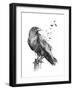 Born to Be Free-Balazs Solti-Framed Giclee Print