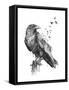 Born to Be Free-Balazs Solti-Framed Stretched Canvas