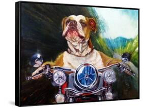 Born To Be Wild-Lucia Heffernan-Framed Stretched Canvas
