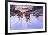 Born to Be Wild-Bruce Dumas-Framed Giclee Print