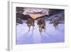 Born to Be Wild-Bruce Dumas-Framed Giclee Print