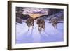 Born to Be Wild-Bruce Dumas-Framed Giclee Print