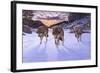 Born to Be Wild-Bruce Dumas-Framed Giclee Print