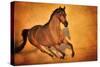 Born to Run-Barry Hart-Stretched Canvas