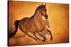 Born to Run-Barry Hart-Stretched Canvas