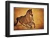 Born to Run-Barry Hart-Framed Art Print