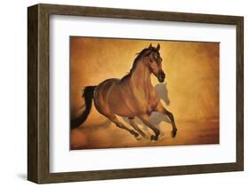 Born to Run-Barry Hart-Framed Art Print