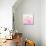 Born To Shine Pink-Evangeline Taylor-Stretched Canvas displayed on a wall