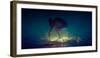 Born-Dmitry Laudin-Framed Photographic Print