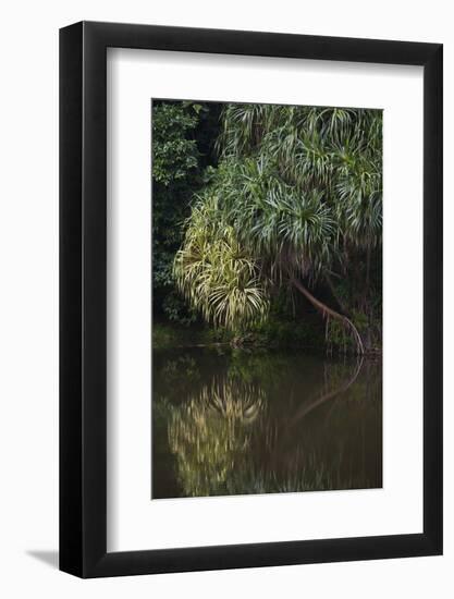 Borneo_D284-Craig Lovell-Framed Photographic Print