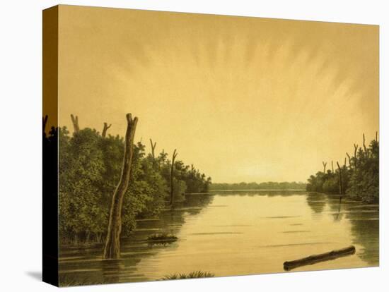 Borneo, Lake Scene 1883-JC Rappard-Stretched Canvas