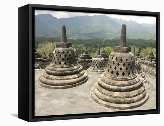 Borobodur Buddhist Temple, UNESCO World Heritage Site, Java, Indonesia, Southeast Asia, Asia-Tony Waltham-Framed Stretched Canvas