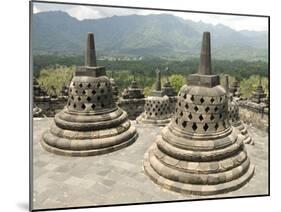 Borobodur Buddhist Temple, UNESCO World Heritage Site, Java, Indonesia, Southeast Asia, Asia-Tony Waltham-Mounted Photographic Print