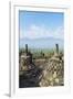 Borobodur, UNESCO World Heritage Site, Kedu Plain, Java, Indonesia, Southeast Asia, Asia-Jochen Schlenker-Framed Photographic Print