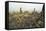 Borobodur, UNESCO World Heritage Site, Kedu Plain, Java, Indonesia, Southeast Asia, Asia-Jochen Schlenker-Framed Stretched Canvas