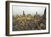 Borobodur, UNESCO World Heritage Site, Kedu Plain, Java, Indonesia, Southeast Asia, Asia-Jochen Schlenker-Framed Photographic Print