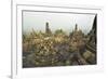 Borobodur, UNESCO World Heritage Site, Kedu Plain, Java, Indonesia, Southeast Asia, Asia-Jochen Schlenker-Framed Photographic Print