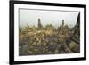 Borobodur, UNESCO World Heritage Site, Kedu Plain, Java, Indonesia, Southeast Asia, Asia-Jochen Schlenker-Framed Photographic Print