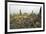 Borobodur, UNESCO World Heritage Site, Kedu Plain, Java, Indonesia, Southeast Asia, Asia-Jochen Schlenker-Framed Photographic Print