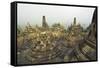 Borobodur, UNESCO World Heritage Site, Kedu Plain, Java, Indonesia, Southeast Asia, Asia-Jochen Schlenker-Framed Stretched Canvas