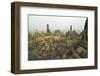 Borobodur, UNESCO World Heritage Site, Kedu Plain, Java, Indonesia, Southeast Asia, Asia-Jochen Schlenker-Framed Photographic Print