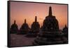 Borobudur Buddhist temple, at sunrise, Central Java, Indonesia-Dominic Byrne-Framed Stretched Canvas