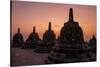 Borobudur Buddhist temple, at sunrise, Central Java, Indonesia-Dominic Byrne-Stretched Canvas