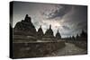 Borobudur Temple, a World Heritage Site in Central Java-Alex Saberi-Stretched Canvas