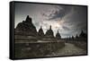 Borobudur Temple, a World Heritage Site in Central Java-Alex Saberi-Framed Stretched Canvas