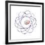 Boron, Atomic Model-Friedrich Saurer-Framed Photographic Print