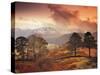 Borrowdale, Lake District, Cumbria, England-Peter Adams-Stretched Canvas