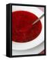 Borscht, a Traditional Russian Beetroot Soup, Moscow, Russia, Europe-Yadid Levy-Framed Stretched Canvas