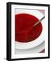 Borscht, a Traditional Russian Beetroot Soup, Moscow, Russia, Europe-Yadid Levy-Framed Photographic Print