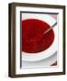 Borscht, a Traditional Russian Beetroot Soup, Moscow, Russia, Europe-Yadid Levy-Framed Photographic Print