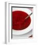 Borscht, a Traditional Russian Beetroot Soup, Moscow, Russia, Europe-Yadid Levy-Framed Photographic Print