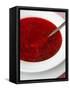 Borscht, a Traditional Russian Beetroot Soup, Moscow, Russia, Europe-Yadid Levy-Framed Stretched Canvas