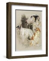 Borzoi-Barbara Keith-Framed Giclee Print