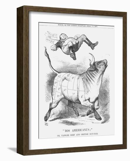 Bos Americanus, 1877-Joseph Swain-Framed Giclee Print