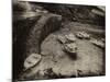 Boscastle Harbour in Cornwall-Tim Kahane-Mounted Photographic Print