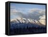 Bosche Range in Winter, Jasper National Park, Rocky Mountains, Alberta, Canada-James Hager-Framed Stretched Canvas