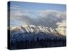 Bosche Range in Winter, Jasper National Park, Rocky Mountains, Alberta, Canada-James Hager-Stretched Canvas