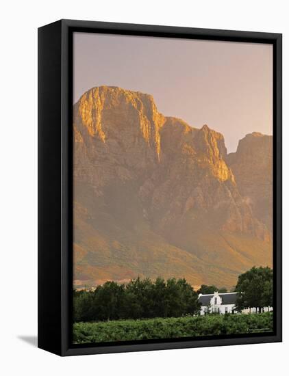 Boschendal Wine Estate, Franschoek, Cape Province, South Africa-Walter Bibikow-Framed Stretched Canvas